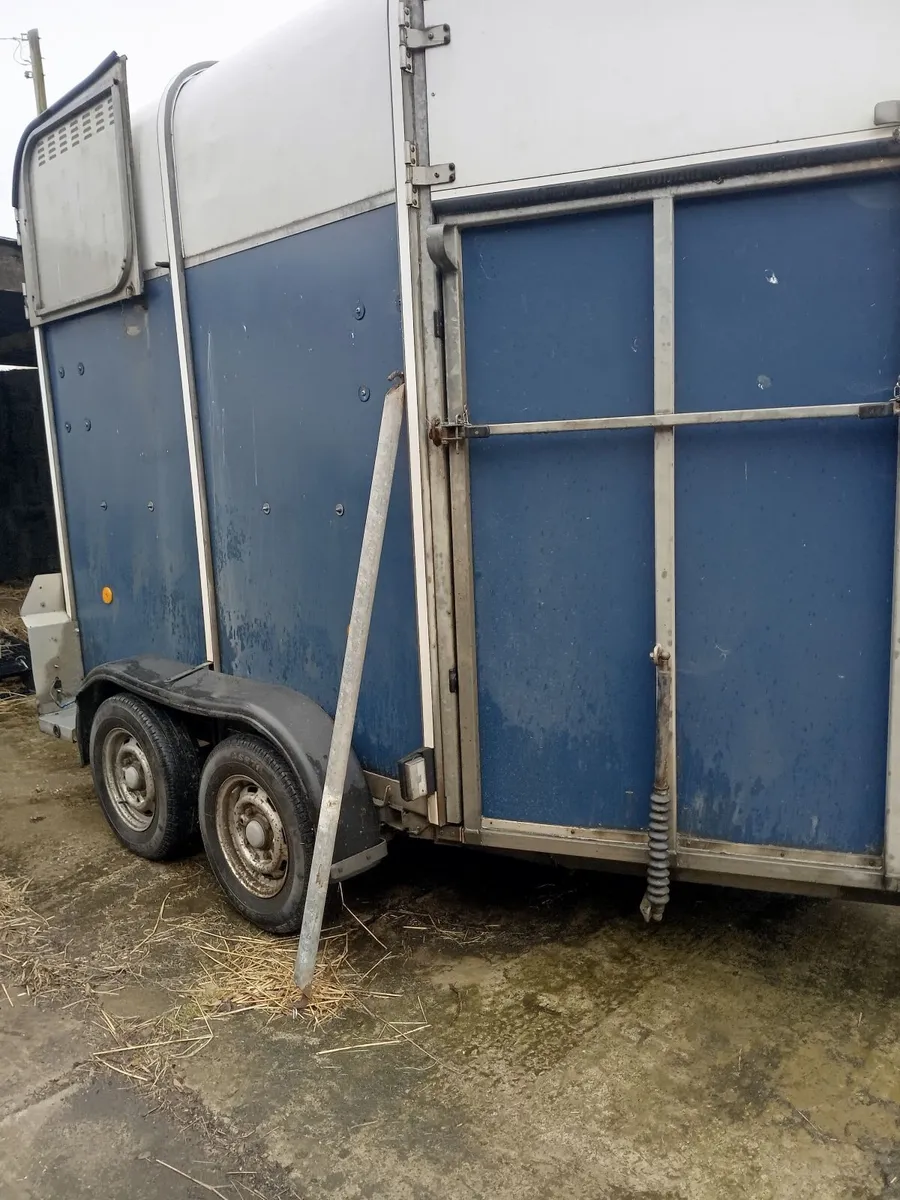 Horsebox - Image 4