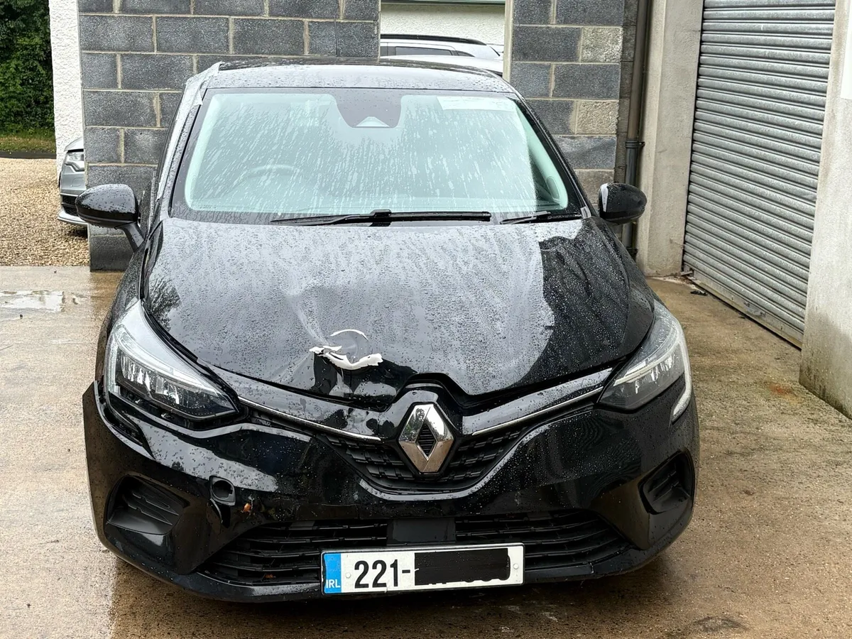 221 RENAULT CLIO - Image 1