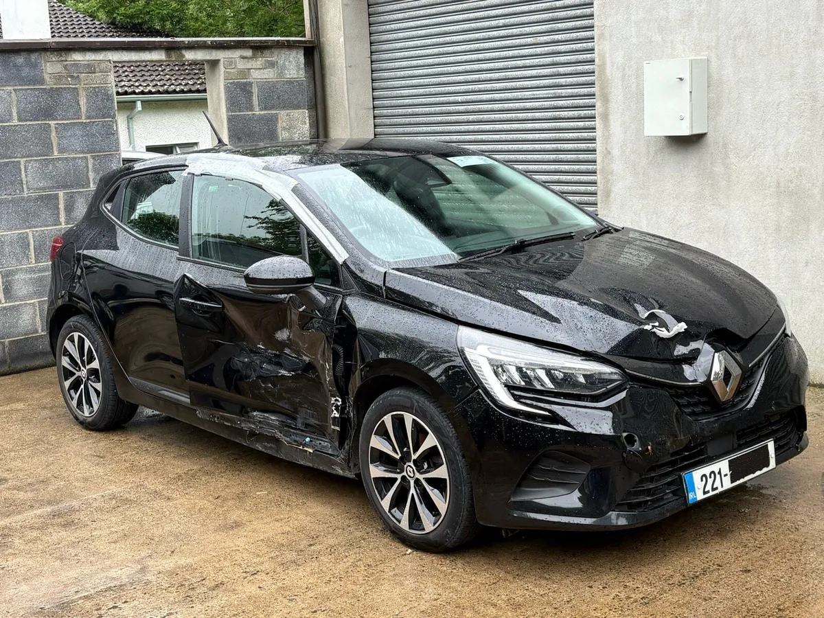 221 RENAULT CLIO - Image 2