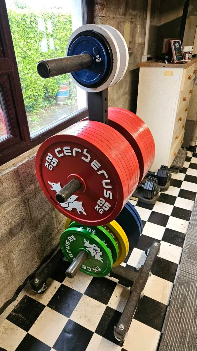 Cerberus Calibrated Competition Plates - Image 3