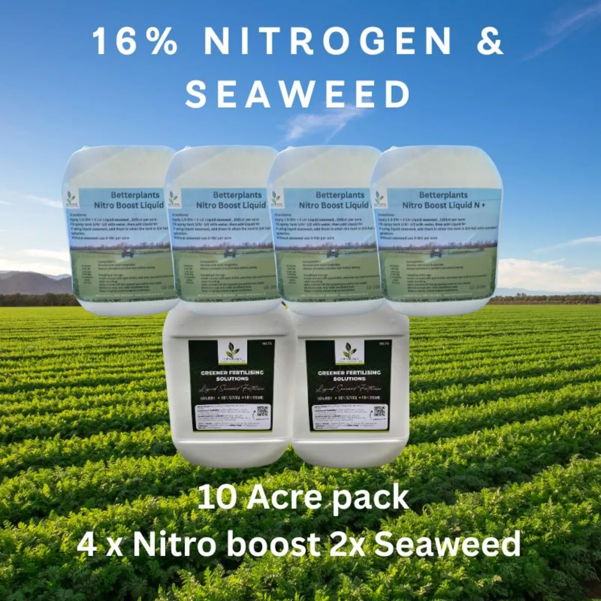 Nutrient-Rich Grass v Nitrogen-Rich Grass - Image 4