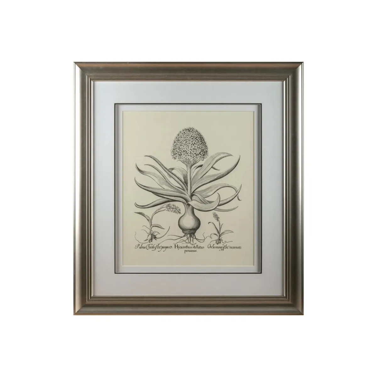Neptune large framed botanical picture - Image 2