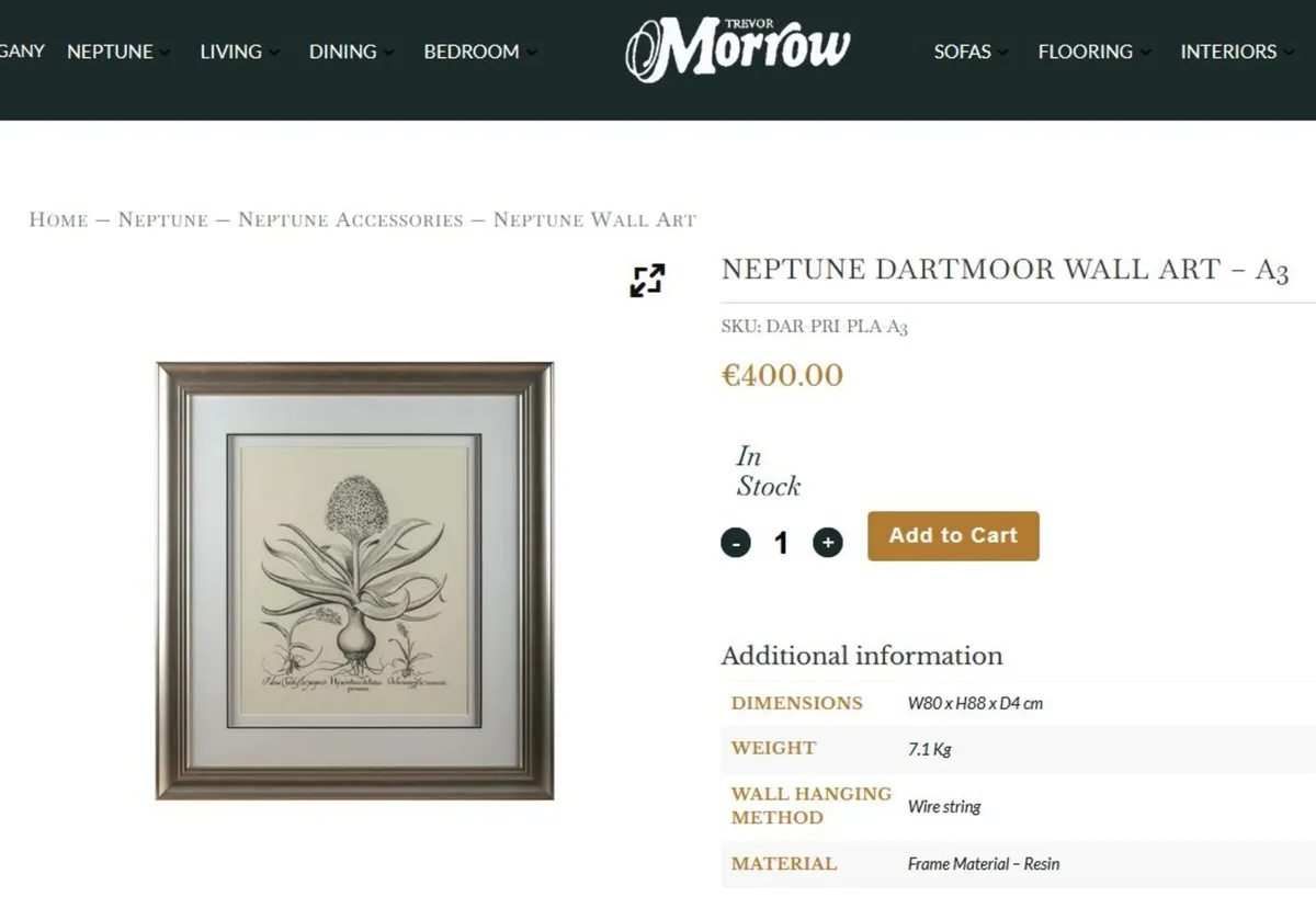 Neptune large framed botanical picture - Image 3