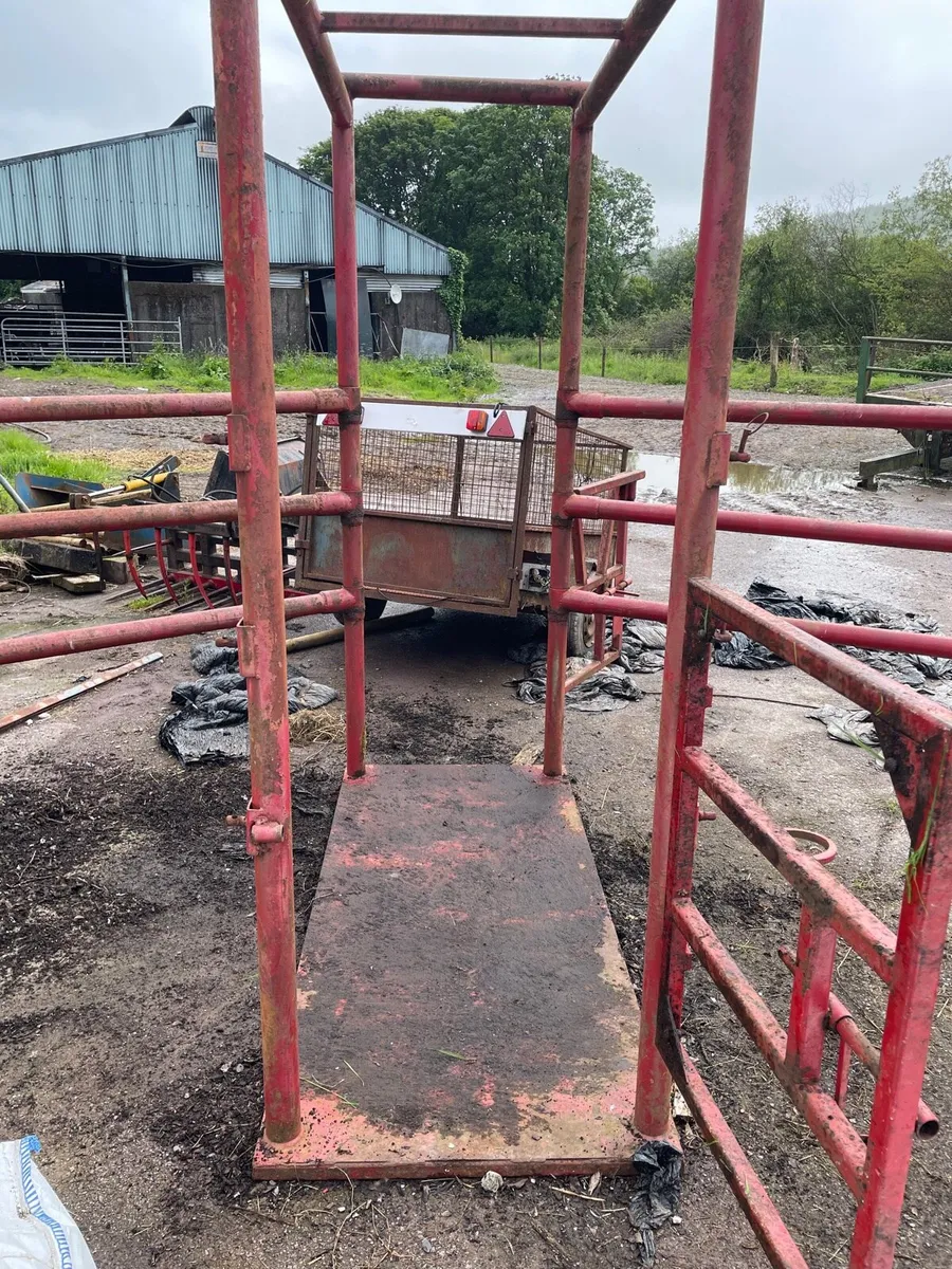 Horse Stocks - Image 4