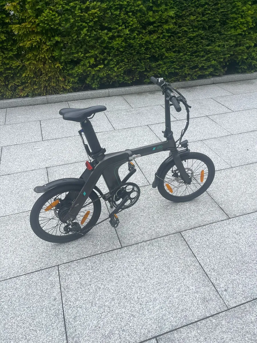 Fiido D21 Electric Folding Bike - Image 1