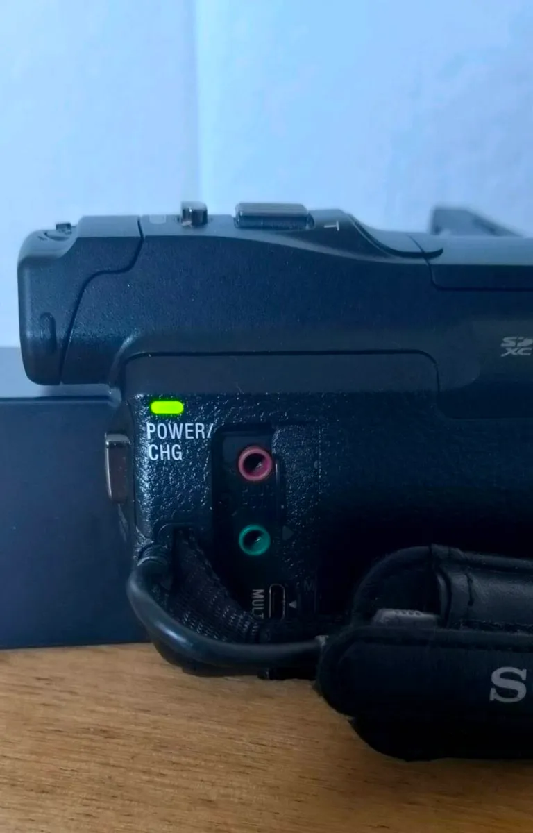 Sony HDR-PJ810 - Image 3