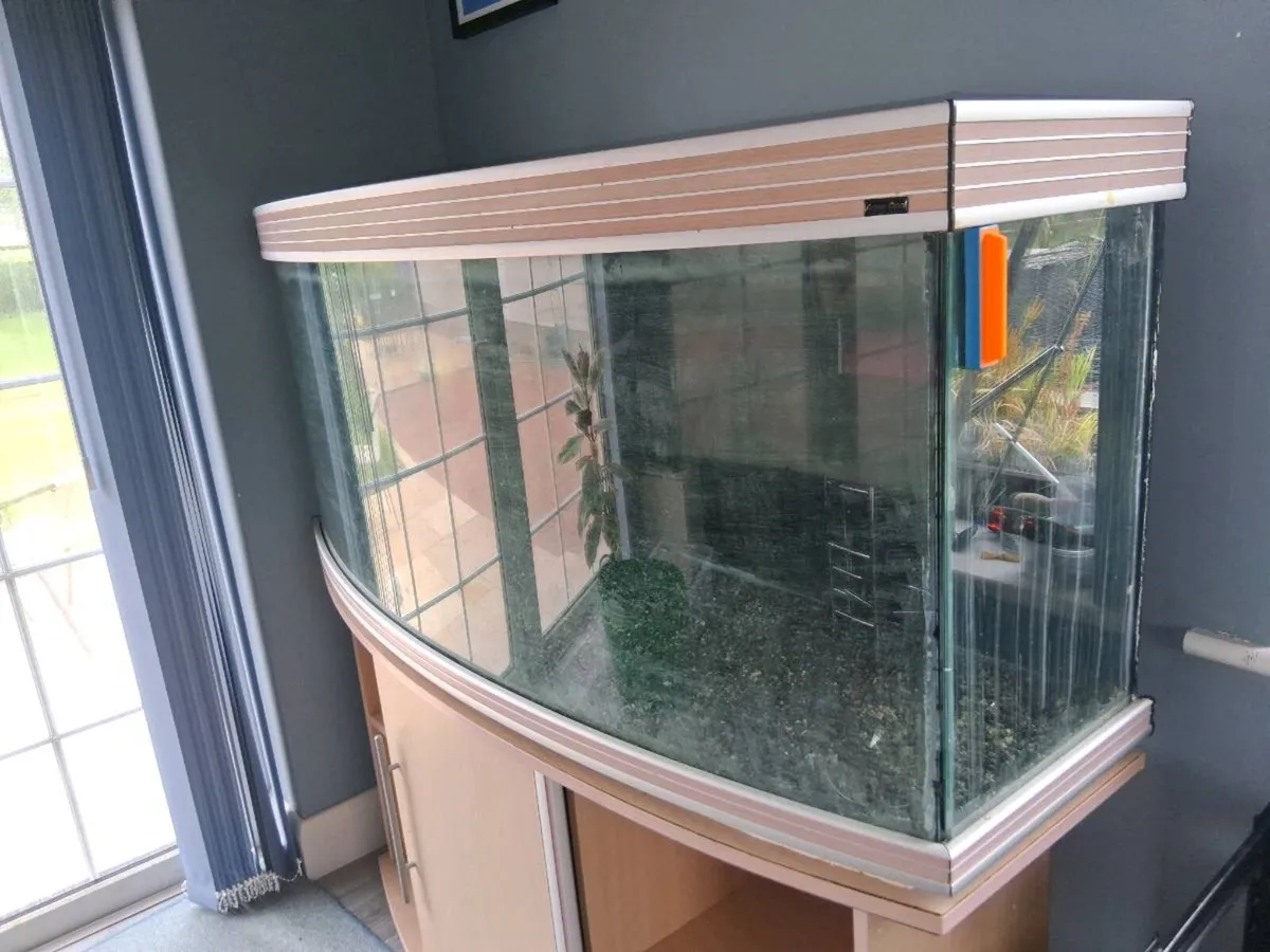 350 litre Aquarium - Image 3