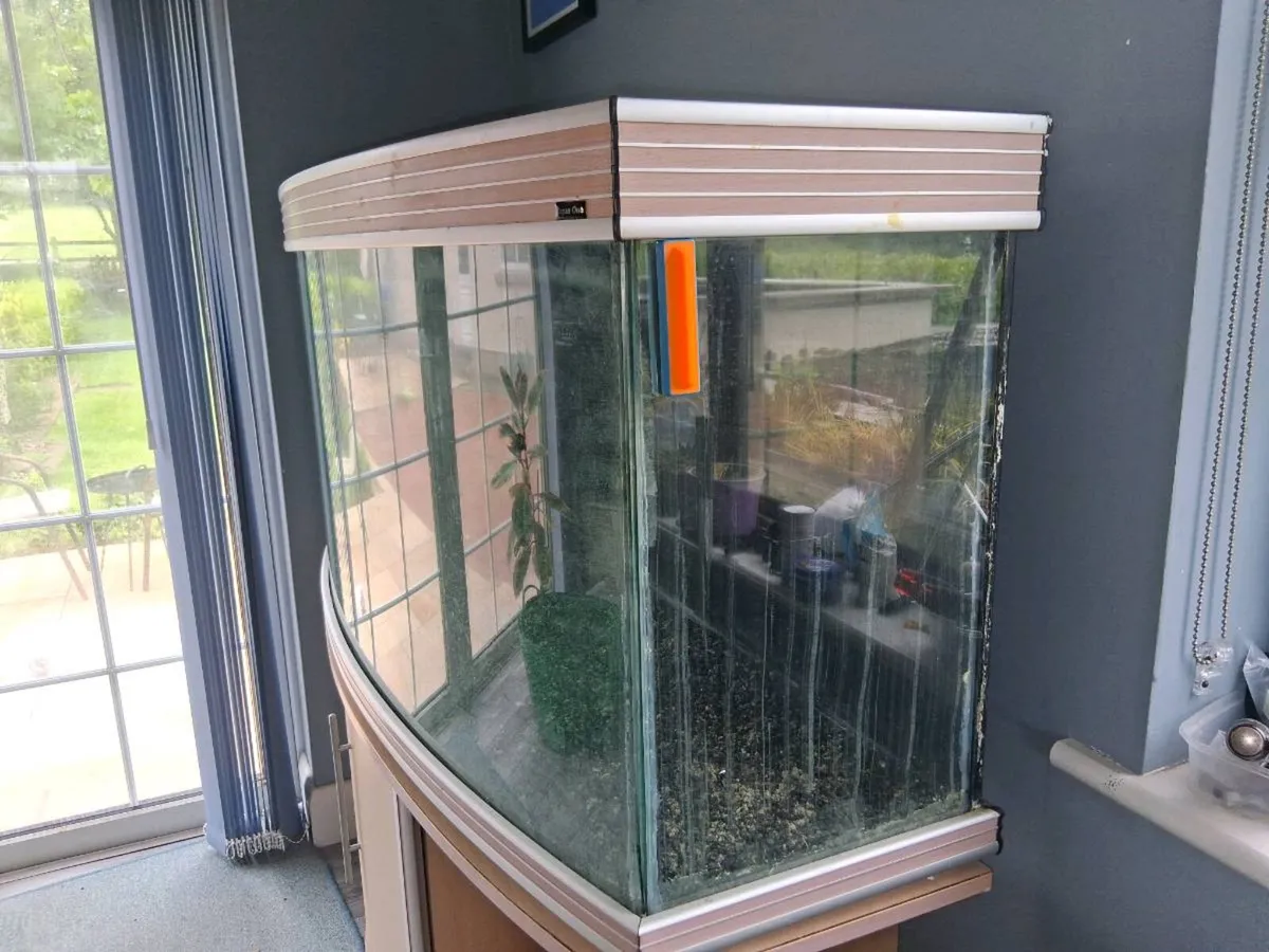 350 litre Aquarium - Image 2