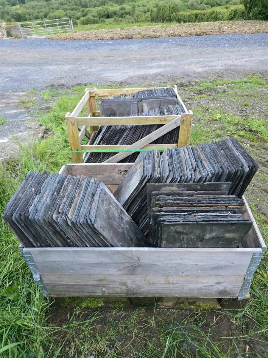 Blue Bangor Slates - Image 1