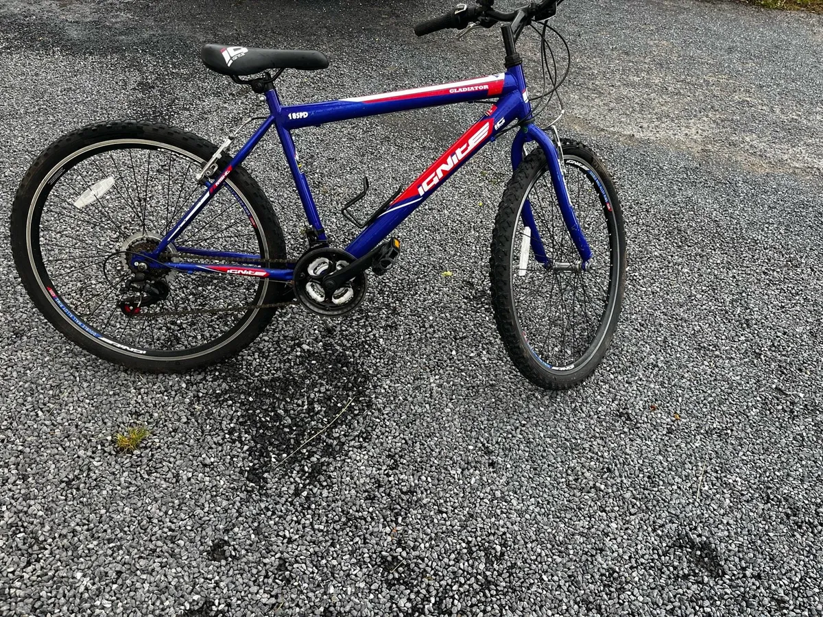 Bike - Image 2