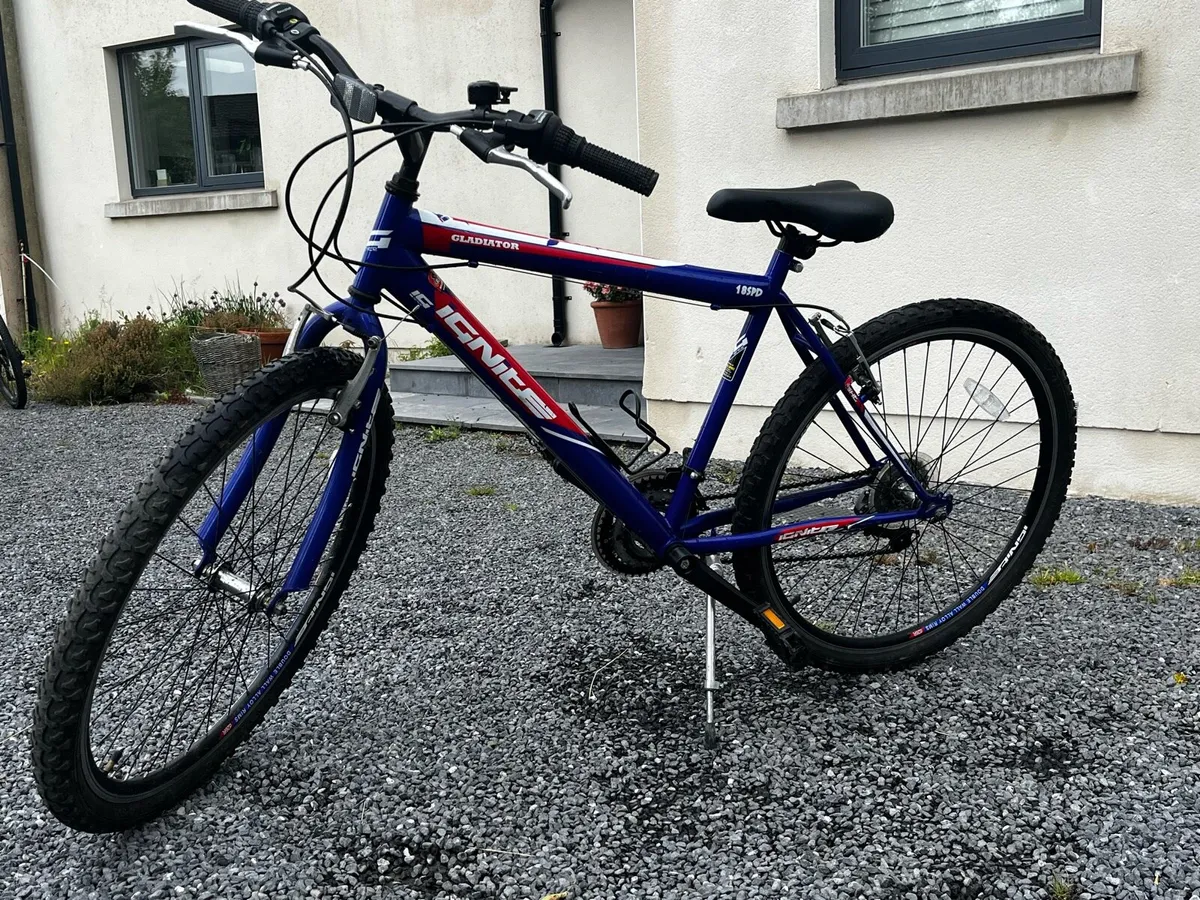Bike - Image 1