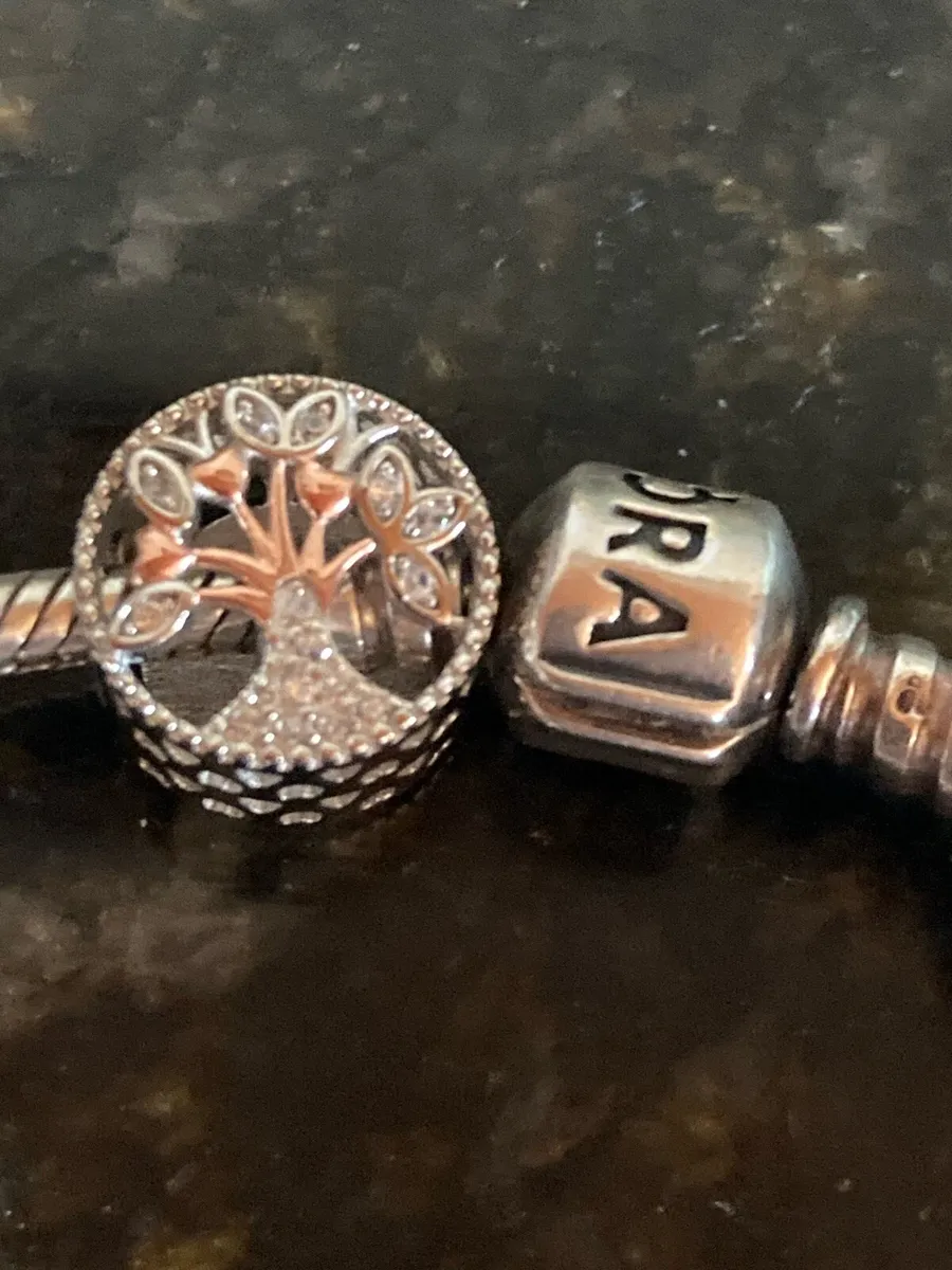 Sterling Silver charm - Image 1