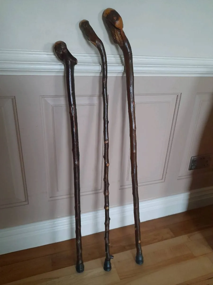 Irish shillelagh - Image 2