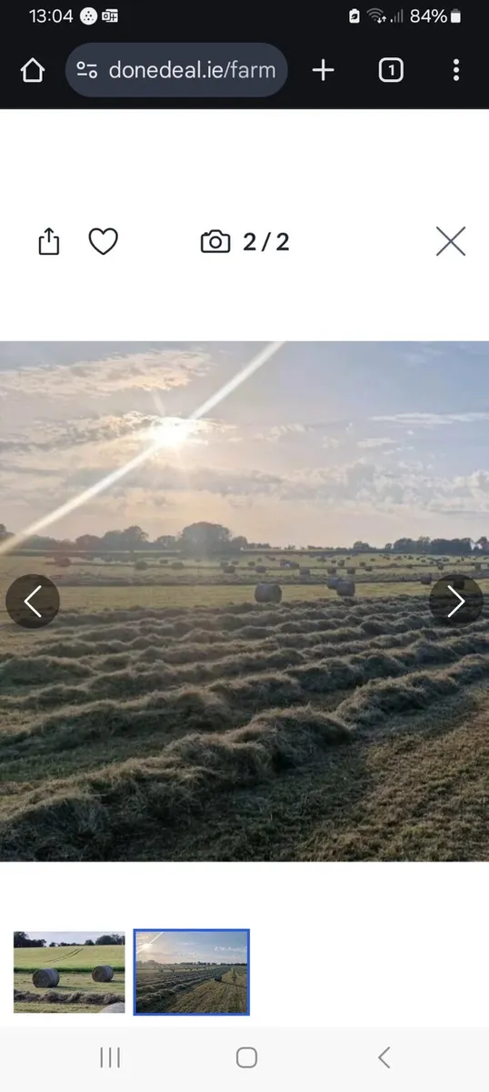 Hay - Image 2