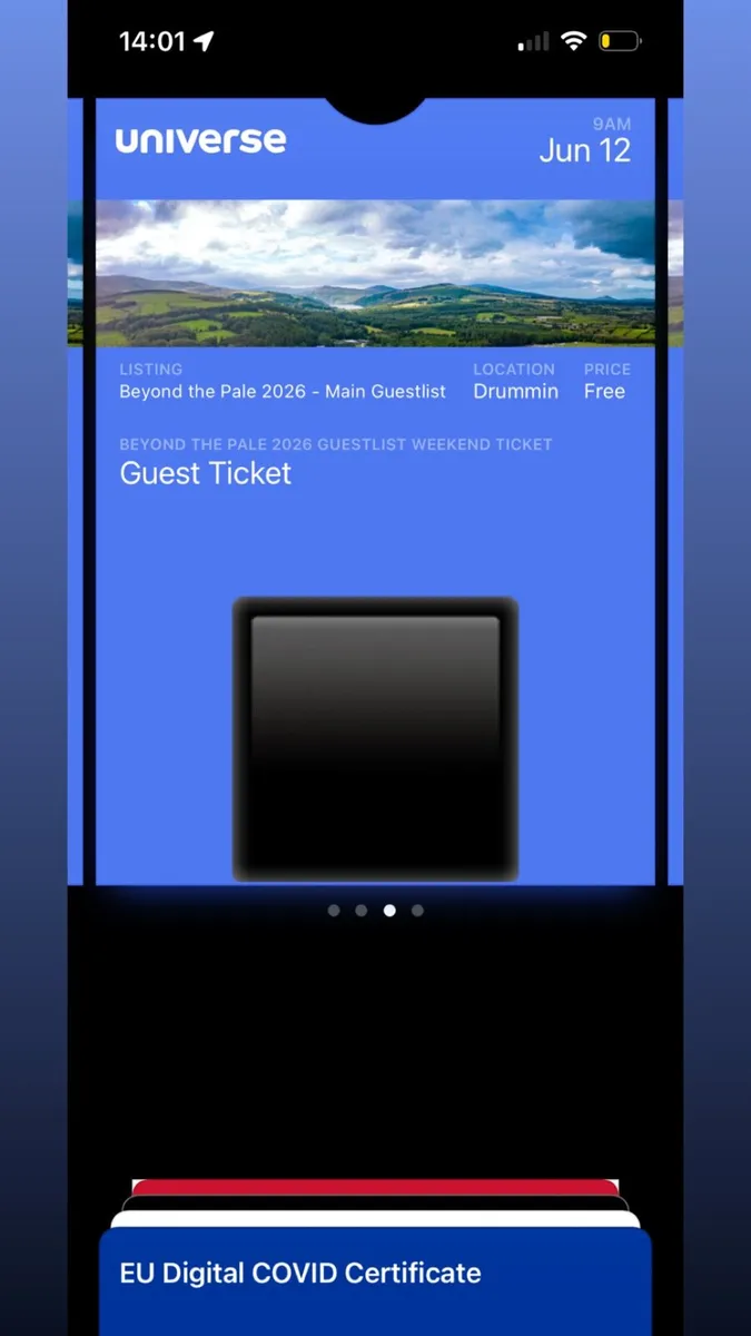 Beyond the Pale Guestlist Weekend Tickets x2 - Image 1