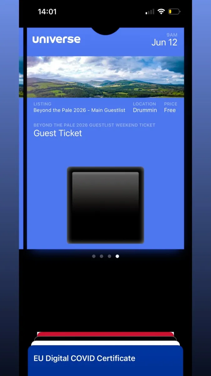 Beyond the Pale Guestlist Weekend Tickets x2 - Image 2