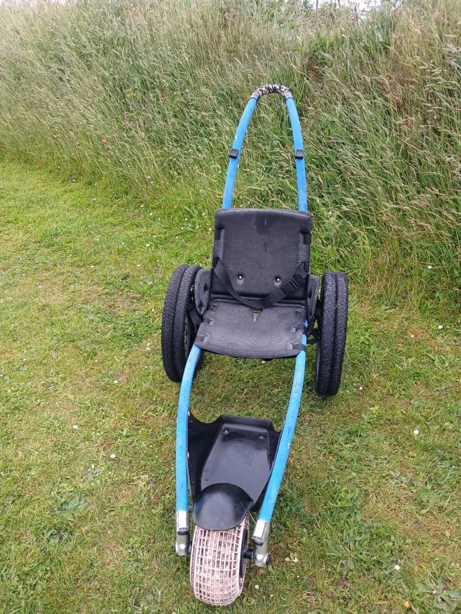 Beach Wheelchair - Image 2