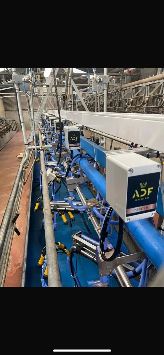 ADF Milking Systems | Lower SCC Risk & Save Labour - Image 4