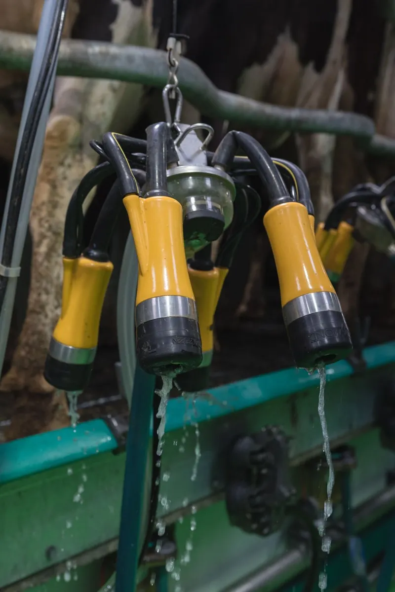 ADF Milking Systems | Lower SCC Risk & Save Labour - Image 3