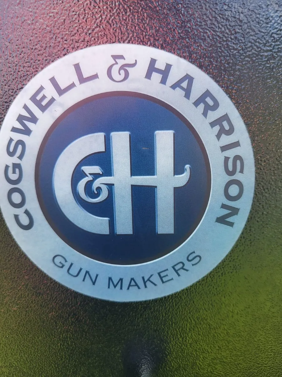 Cogswell & Harrison Gun Safe - Image 2