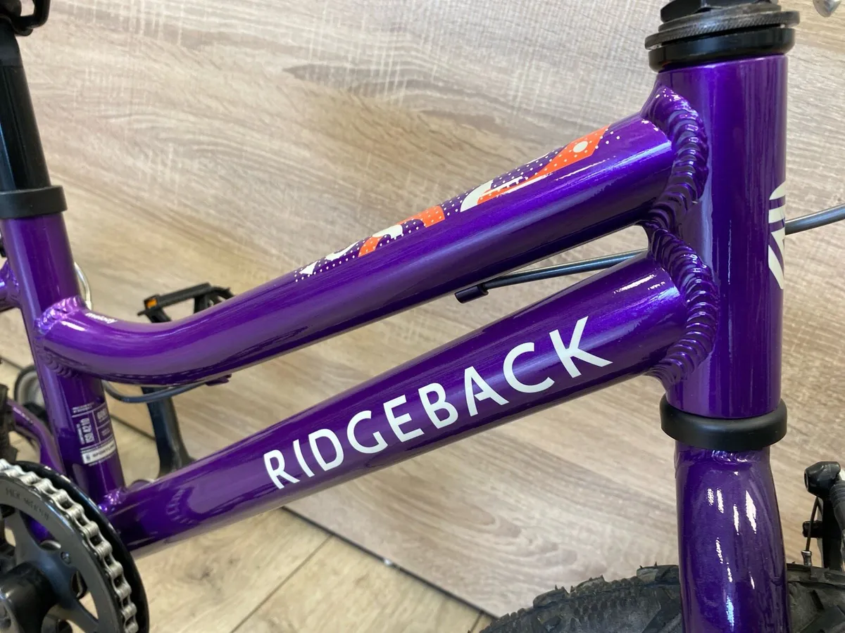 Ridgeback melody (like new) - Image 3