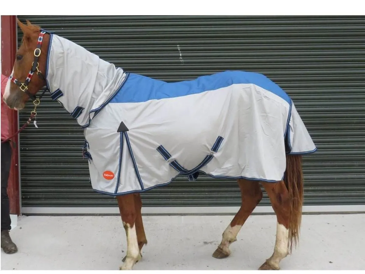 Turnout and Stable Rugs - Image 1