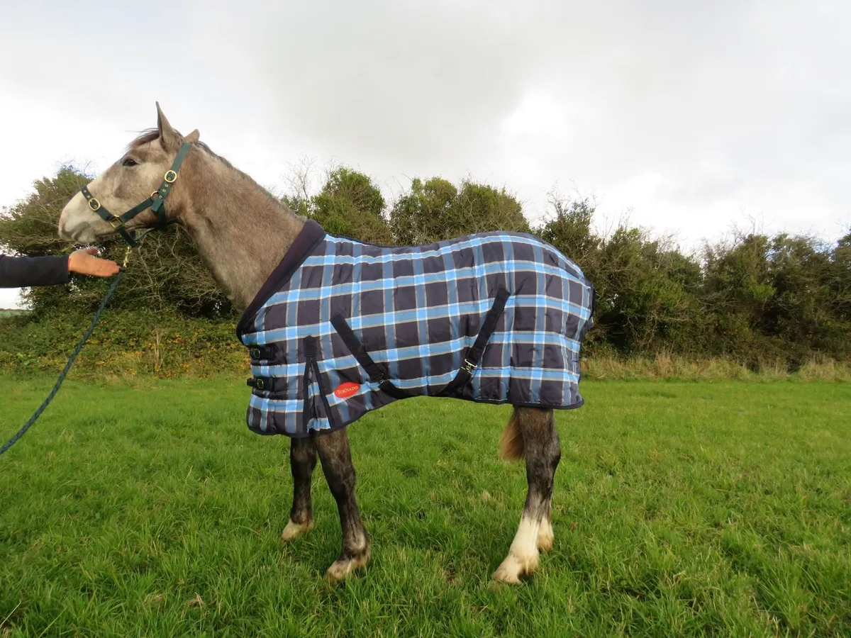 Turnout and Stable Rugs - Image 3