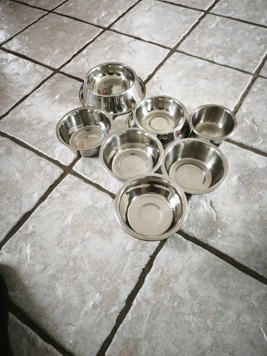 Dog bowls