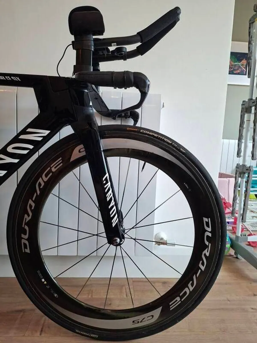 Triathlon/Time Trial Bike Size Medium(54) - Image 3