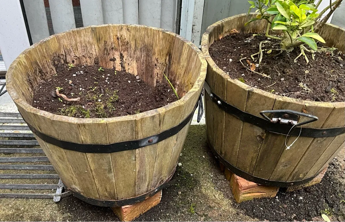 Pair of Wooden Planters, One with Plant - Image 2