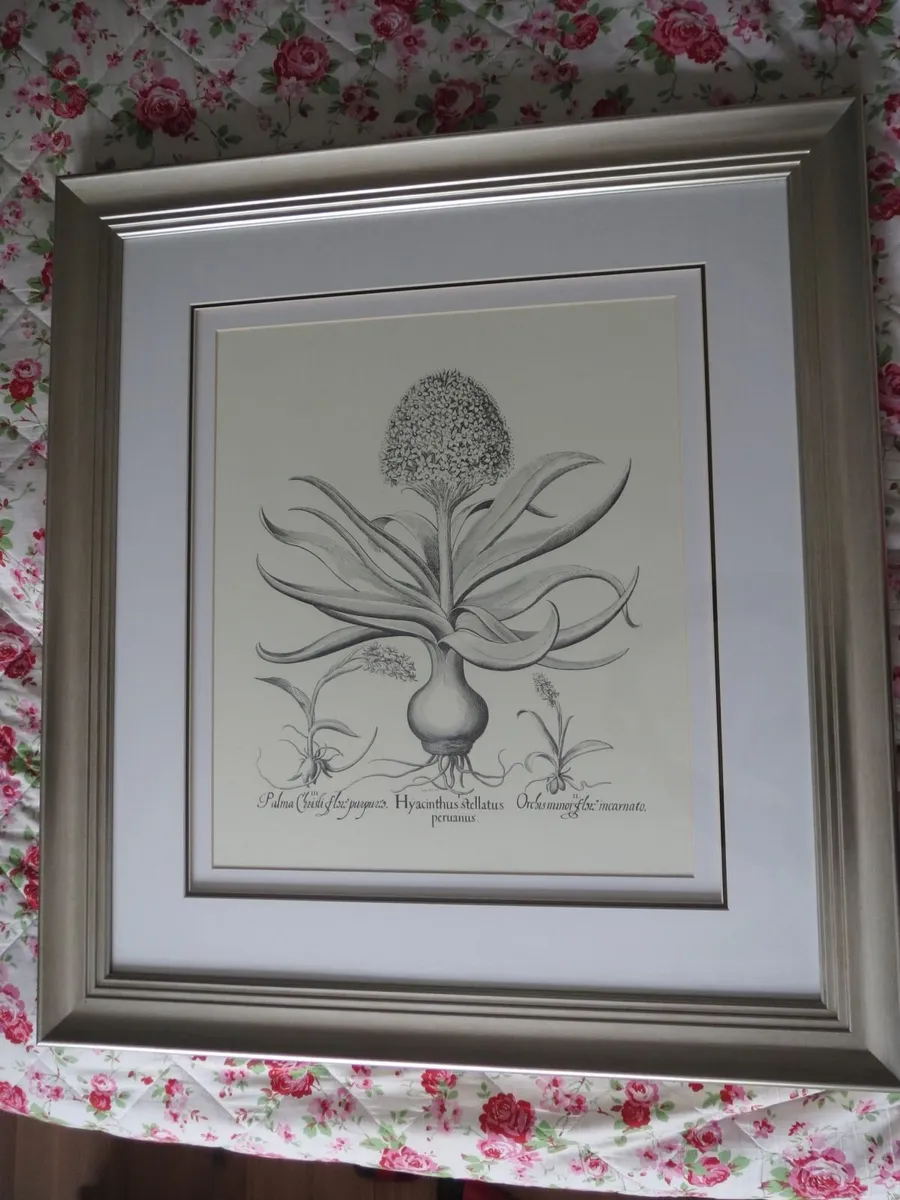 Neptune large framed botanical picture - Image 4