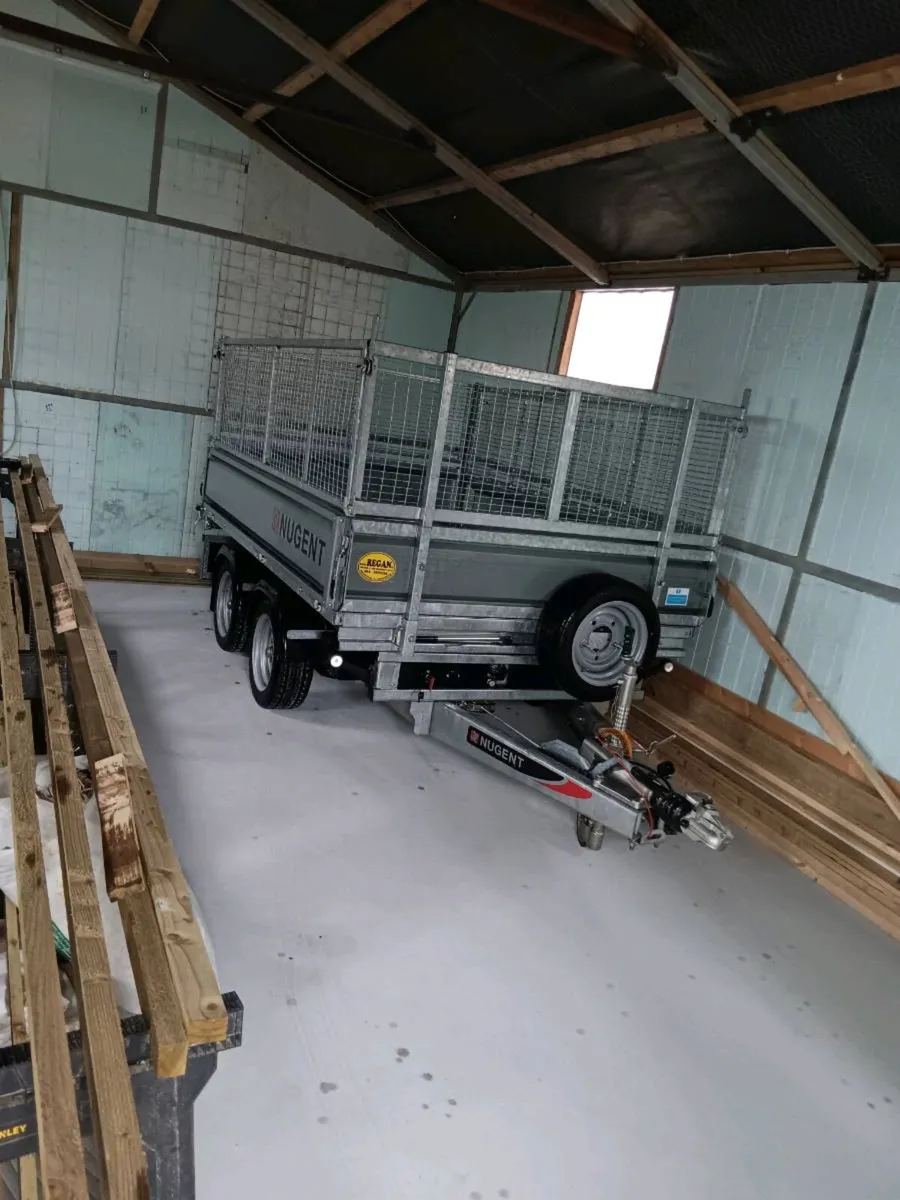 Nugent 8x6 tipper - Image 4