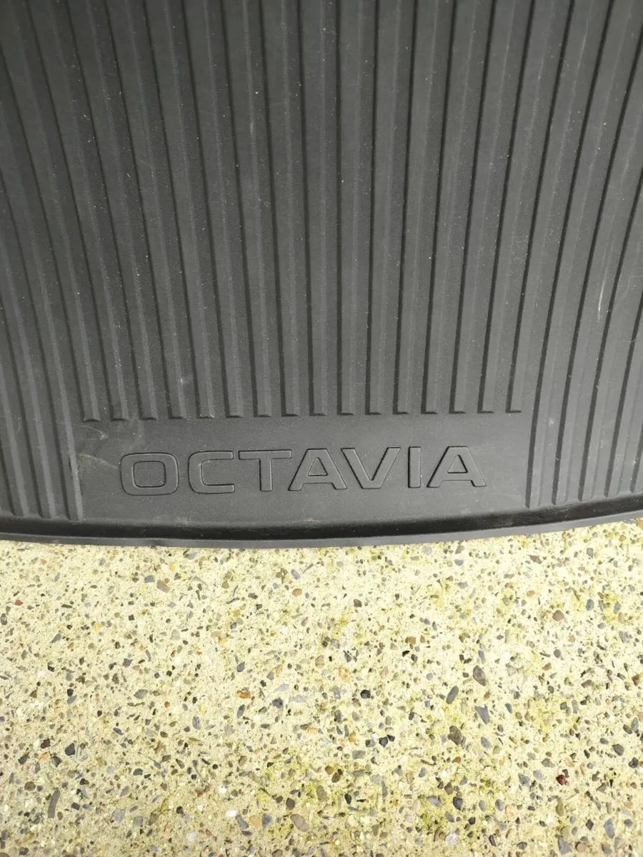 Boot mat - Image 2