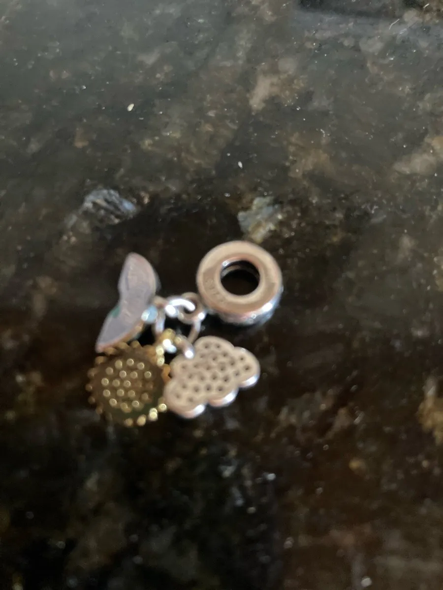 Sterling Silver charm - Image 3