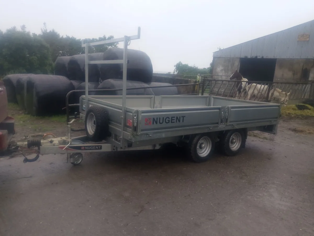 Nugent 12 x 6.6 - Image 1