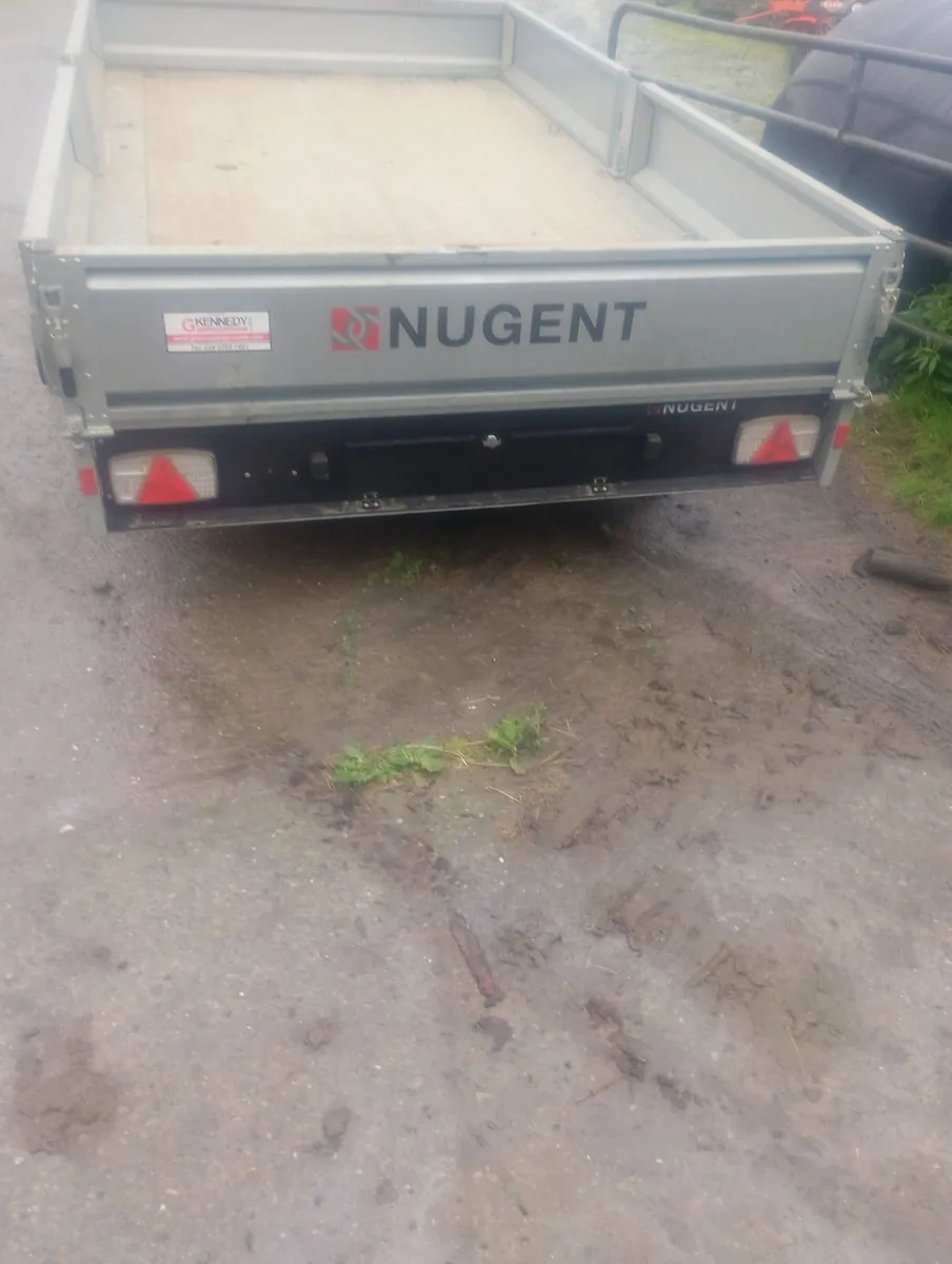 Nugent 12 x 6.6 - Image 2