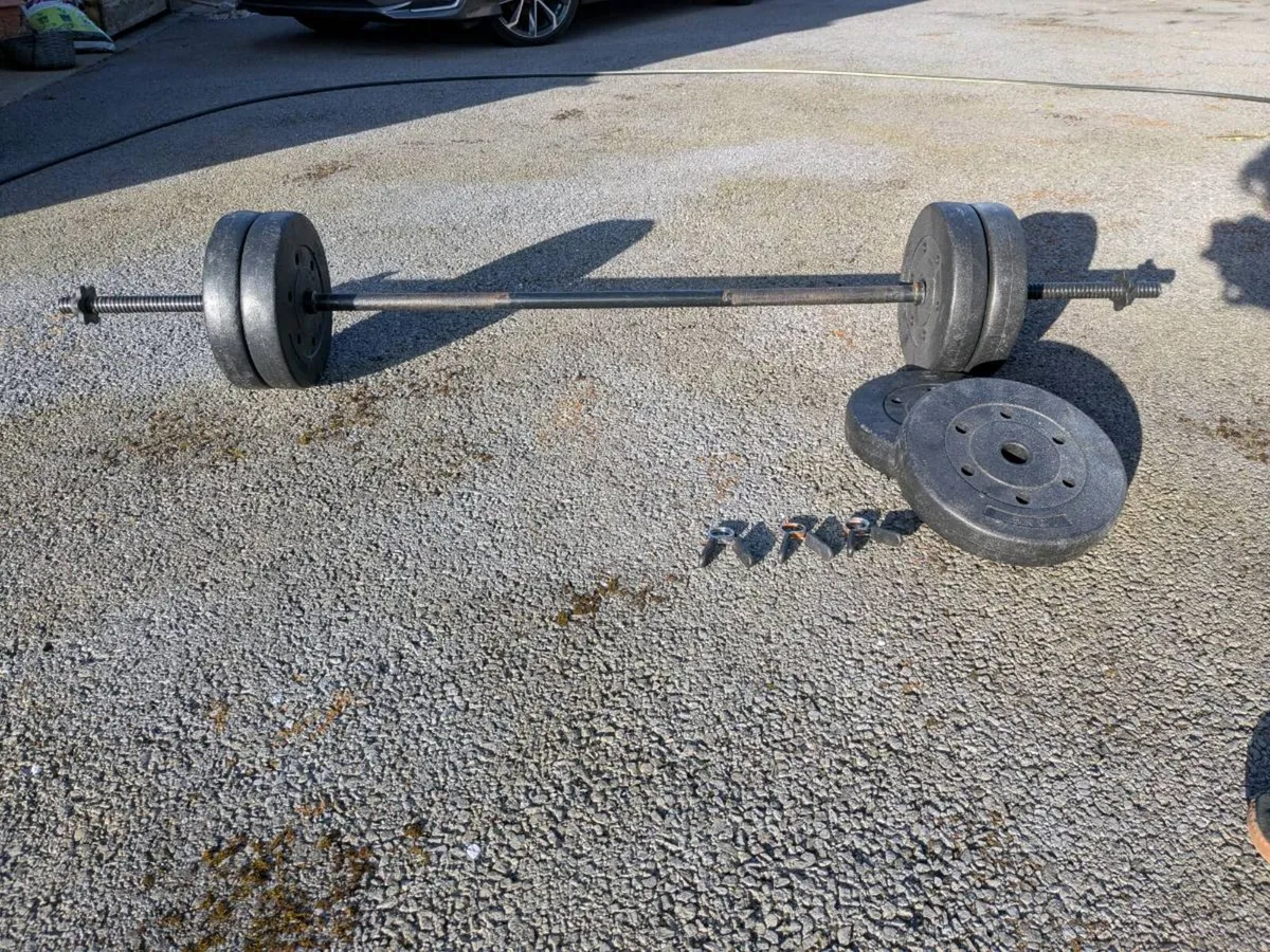 Bench/ Weights and Gym Flooring - Image 4