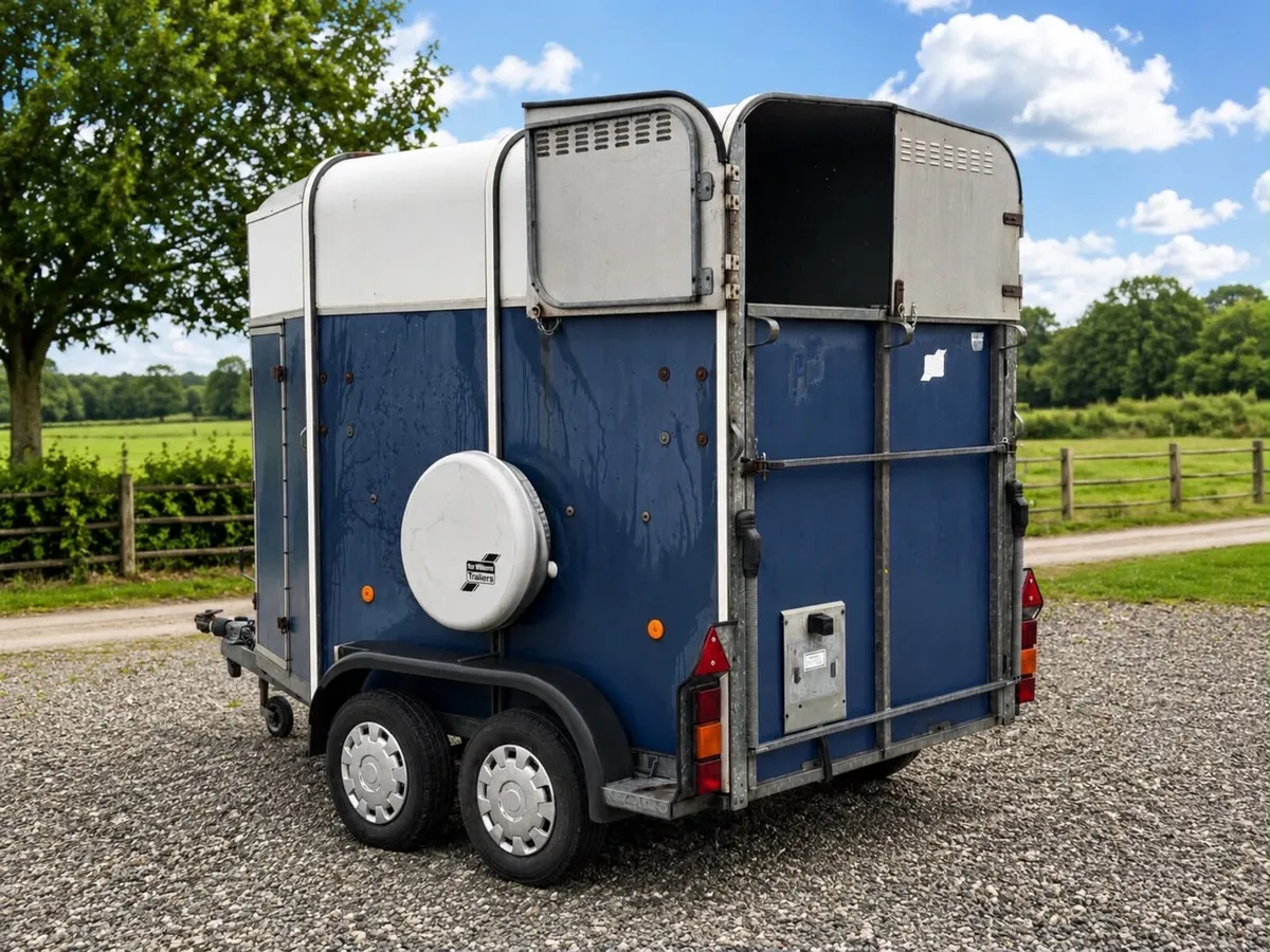 505 horse box for sale - Image 4