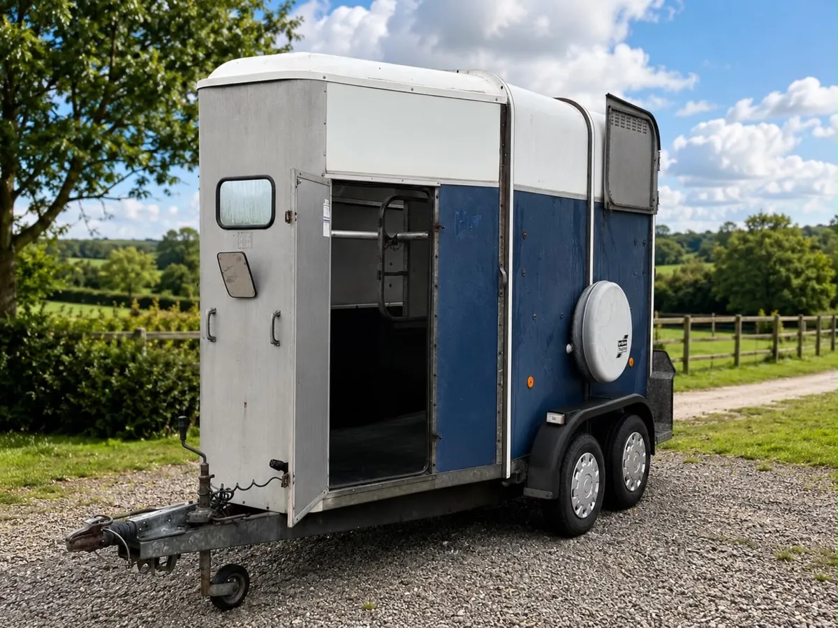 505 horse box for sale - Image 2