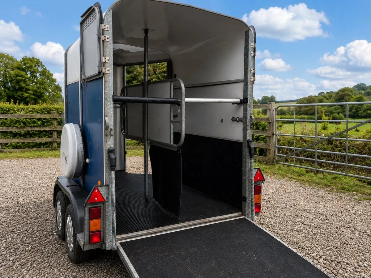 505 horse box for sale - Image 3