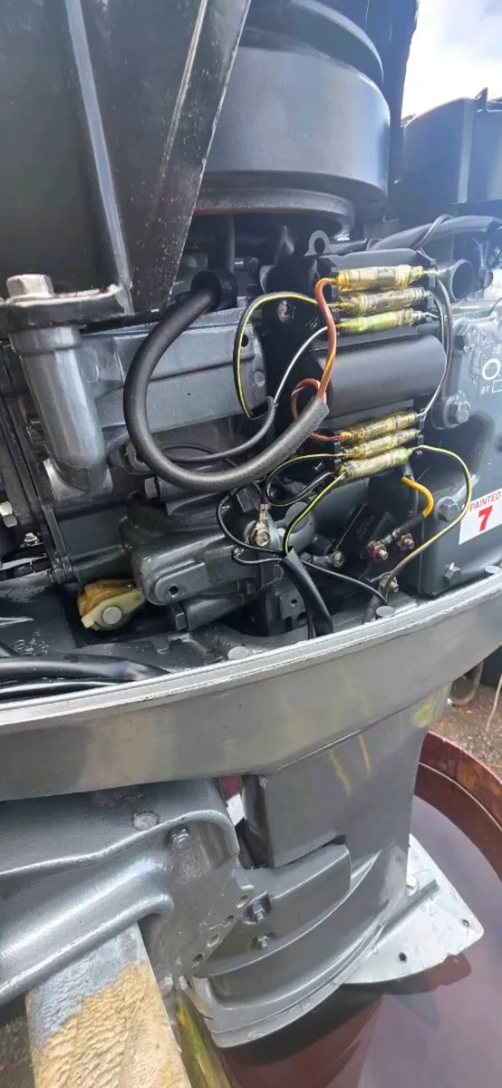 Mariner 25 [4BE] outboard engine - Image 4