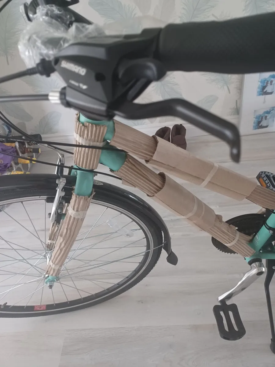 Ladies bike - Image 1