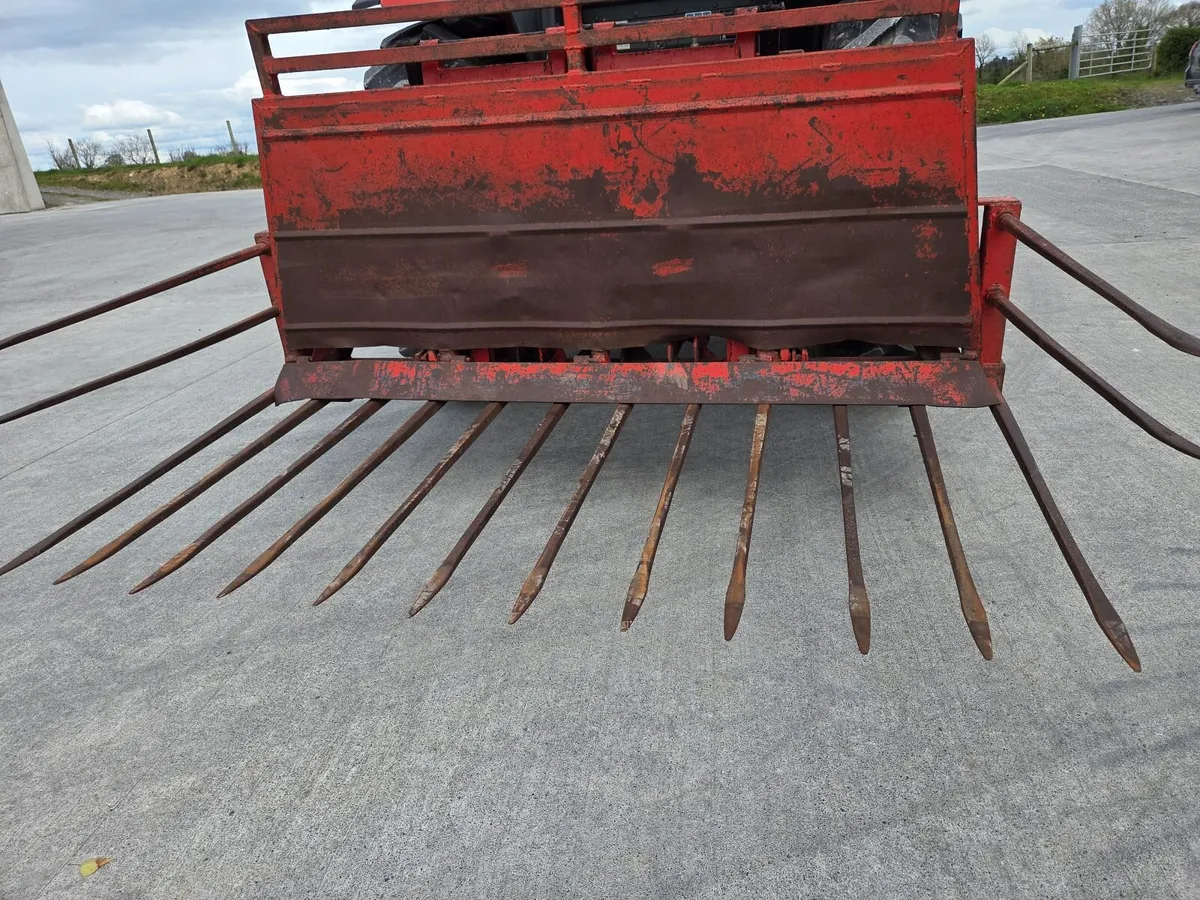 Buckrake - Image 4