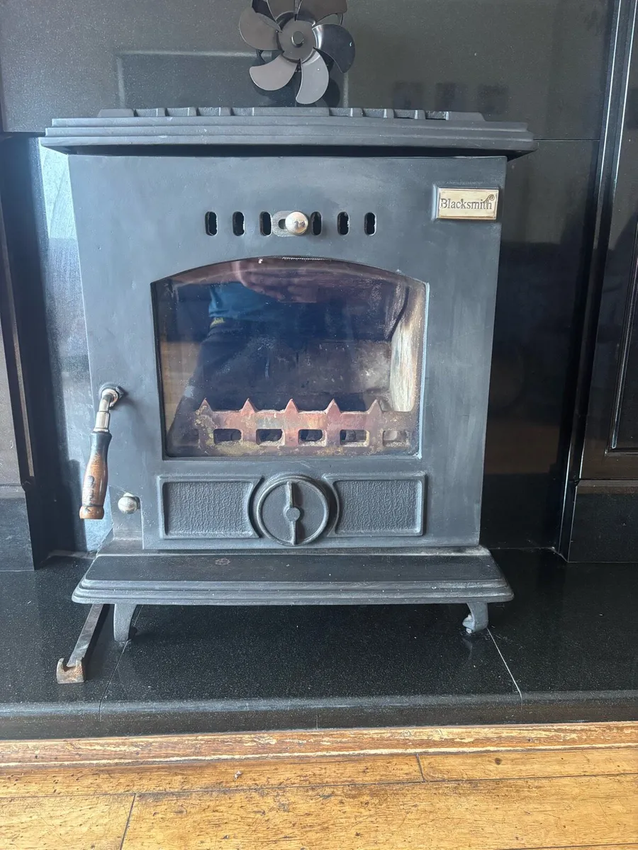 Marble Fireplace and Stove - Image 2