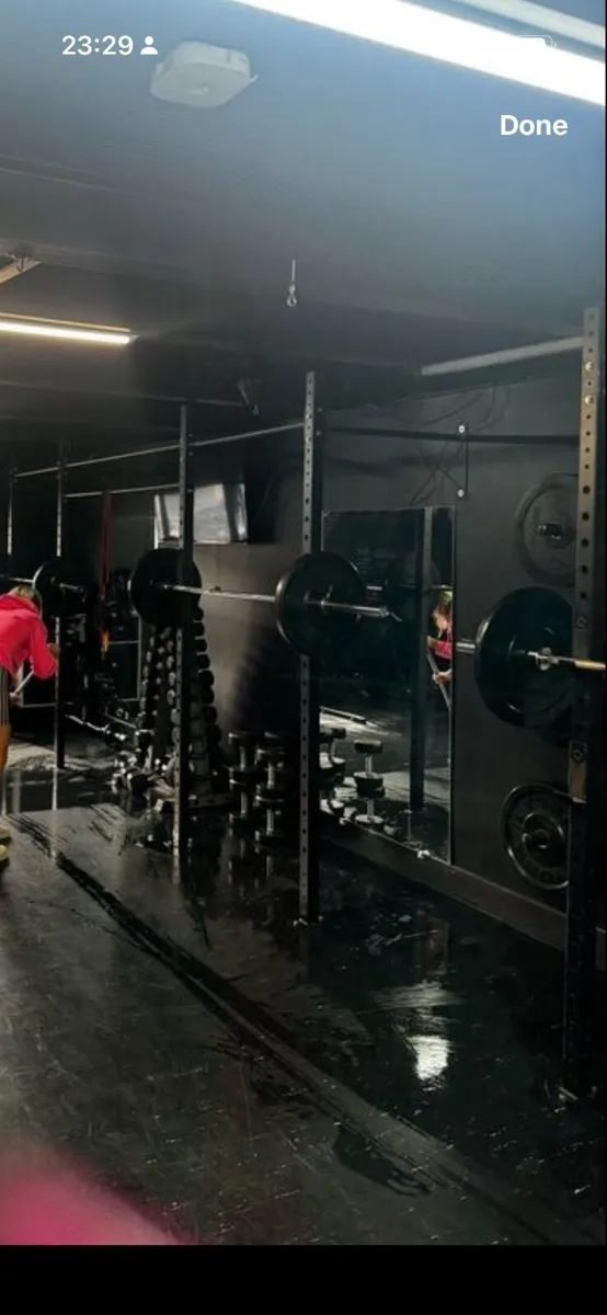 Gym wall mounted rigs