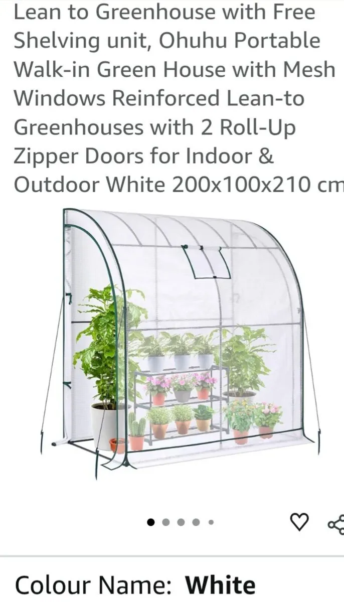 Lean to greenhouse - Image 1
