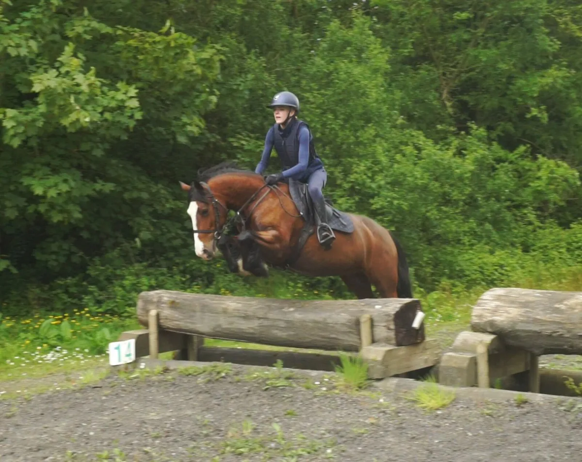 🌟 Super Pony Club Pony 🌟 - Image 3