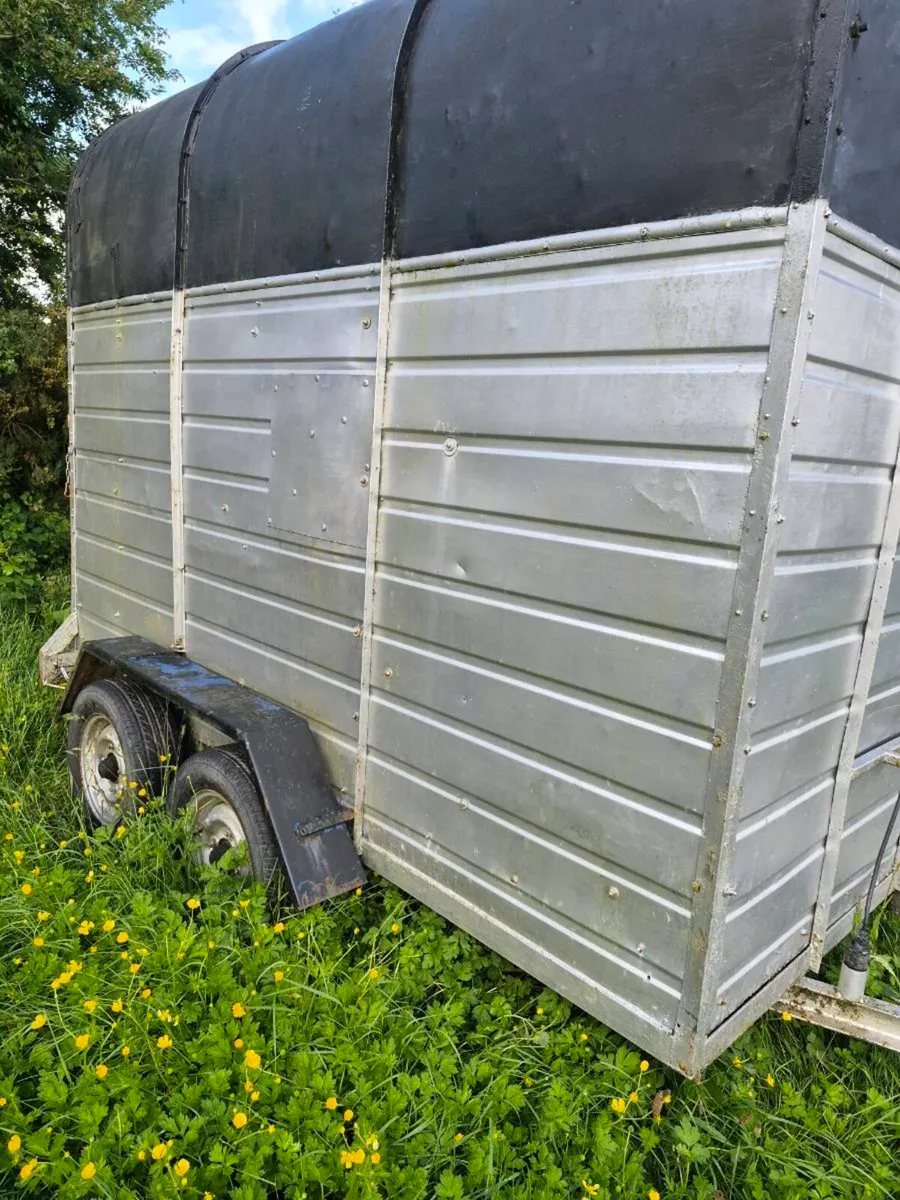 Horse Box - Image 2