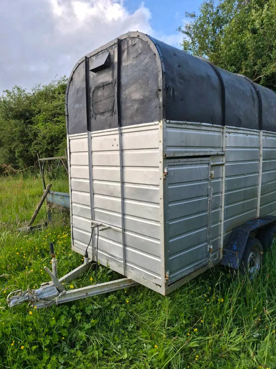 Horse Box - Image 3