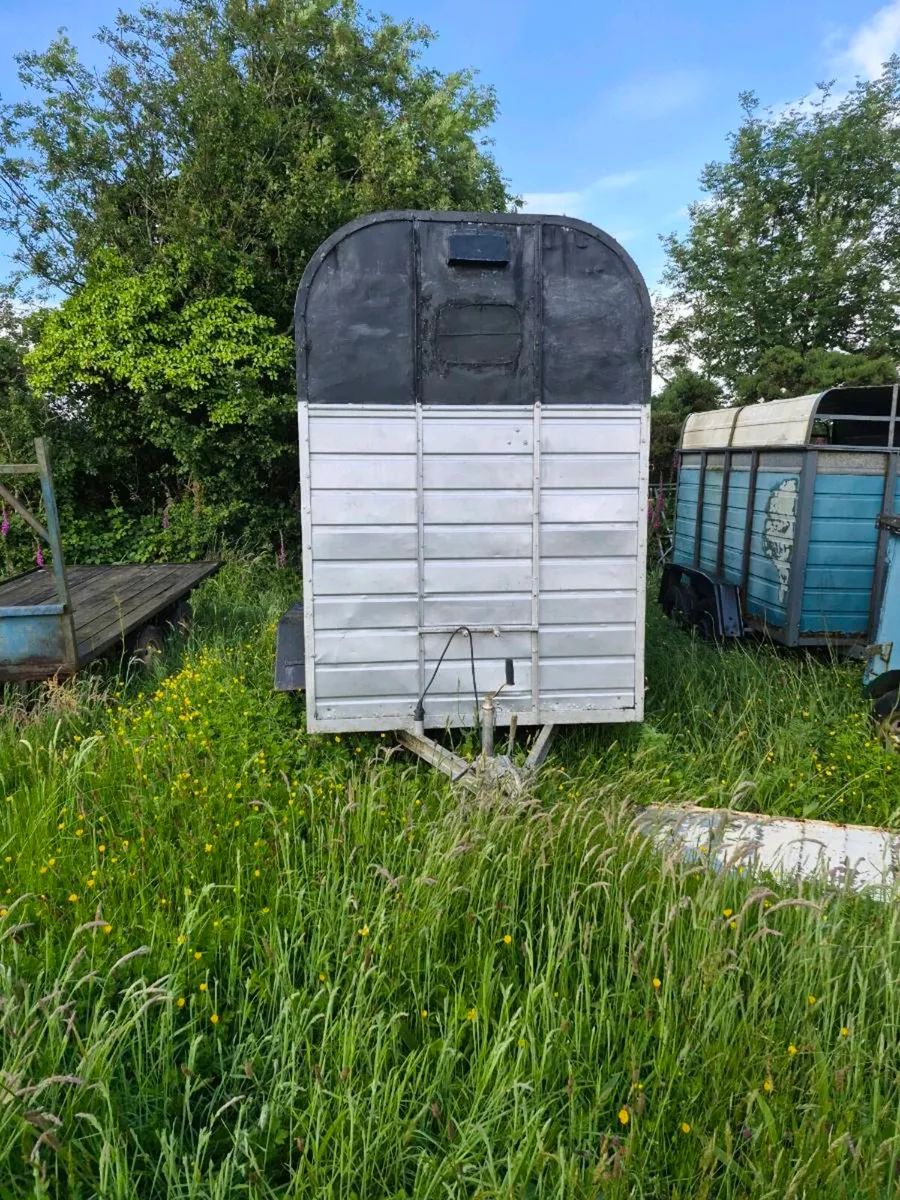 Horse Box - Image 4